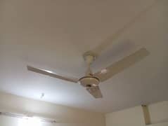 Two 2 ceiling fan 56 inch full size