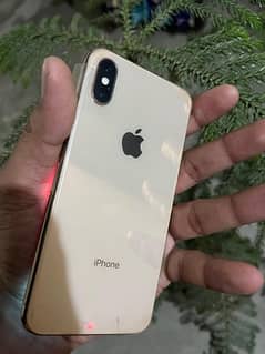 iphone xs golden color 256 gb