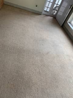 1 year used Carpet