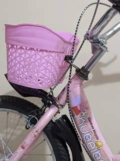baby pink bicycle
