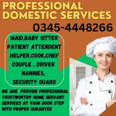 House maid, baby sitter, patient attendent, cook, helper etc