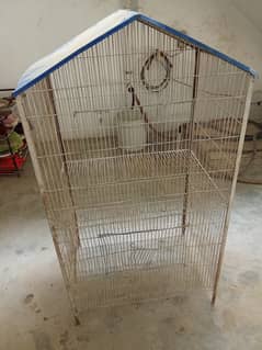 Parrot/Hen/Bird Cage