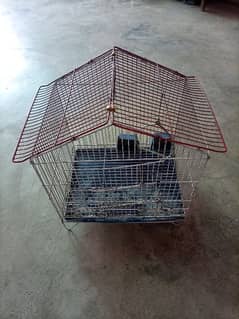 Birds Cage