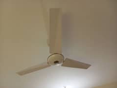 Two 2 ceiling fan 56 inch for sale