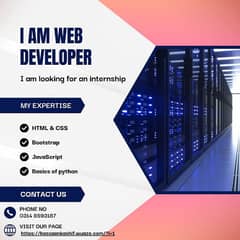 I want to do internship as a web developer