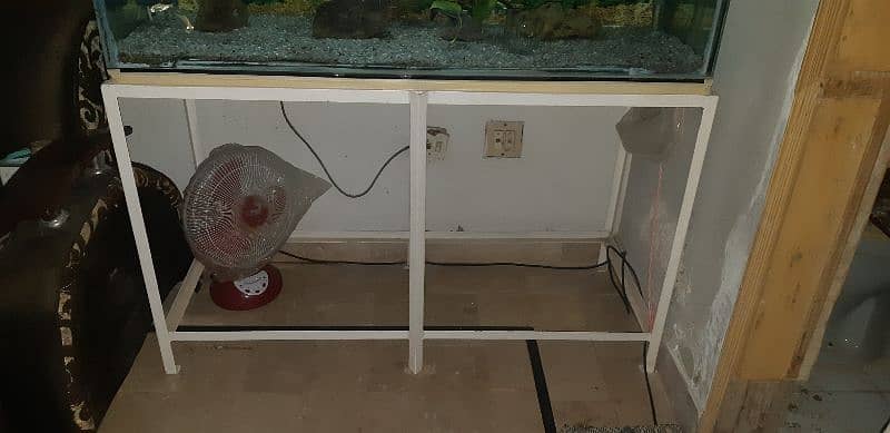 Shipping hifin Fishes and 4 ft aquariums 7