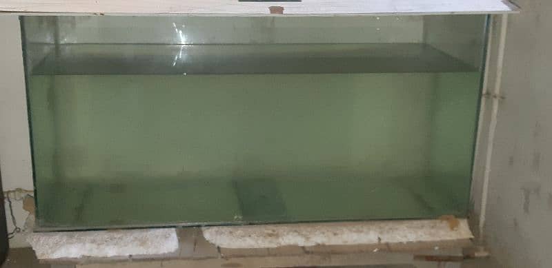 Shipping hifin Fishes and 4 ft aquariums 9