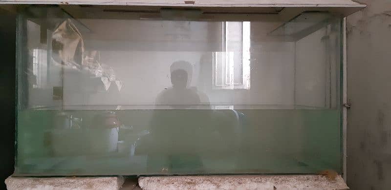 Shipping hifin Fishes and 4 ft aquariums 10