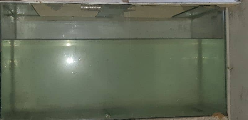 Shipping hifin Fishes and 4 ft aquariums 11