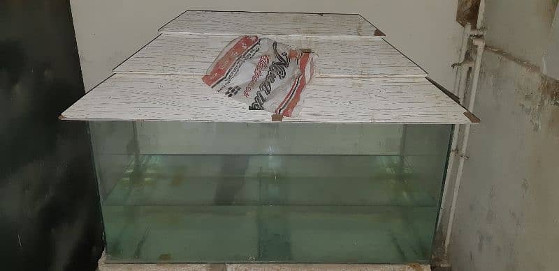 Shipping hifin Fishes and 4 ft aquariums 12