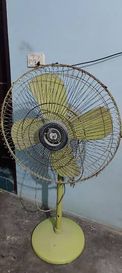 Pak Fan Full size Pedestal fan 0