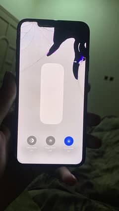 iPhone 11 Pro Max Battery Panel