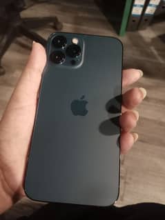 iPhone 12 pro max