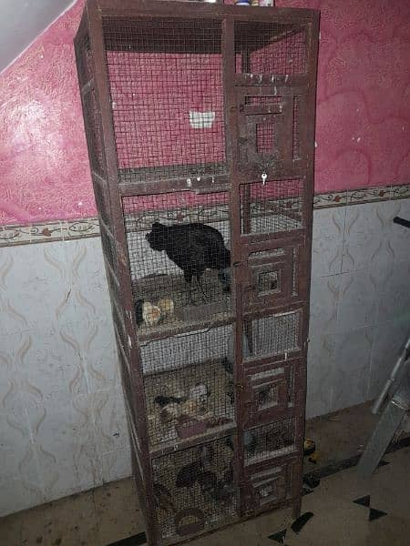 4 portion wooden Cage 4