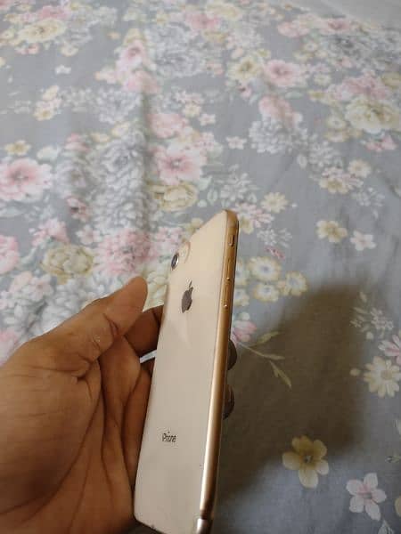 iphone 8 256 gb pta approved all ok fresh cobdition 1