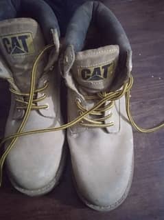 cat shoes good condition