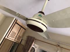 Taimur Fan full size ceiling fan
