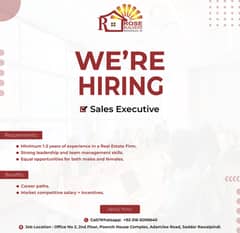 Sales Executive - Real Estate Firm