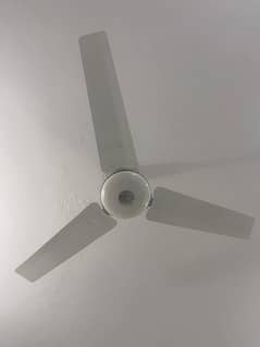 Pak Fan AC ceiling fan for sell
