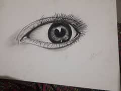 sketch of eye