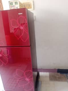 New Fridge   only 1 year used Everything is ok All ok