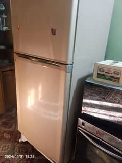 fridge fridge and refrigerator