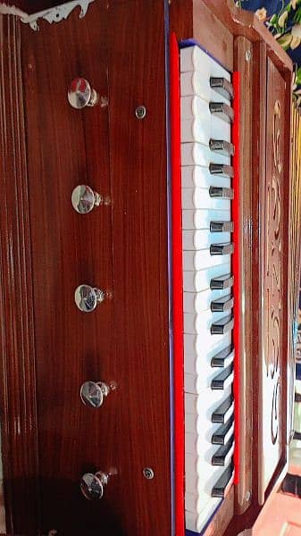 Professional Harmonium Indian German reeds 10