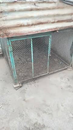cage for sale .