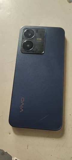 vivo