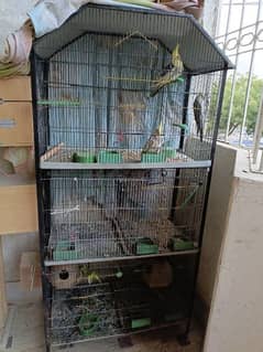 saling my cage with birds