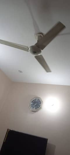 sale ceiling fan