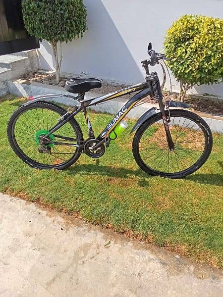 sumac bicycle for sell 2