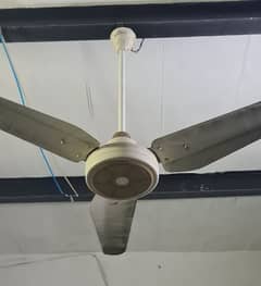 Pure Copper Ceiling Fans 220V Fast