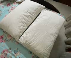 4 Large Bed pillows
