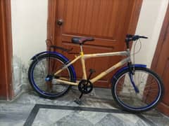 24 INCH CYCLE PHONIX CYCLE ALL GENIUM FRAME FOR SALE IN GOOD CONDITION