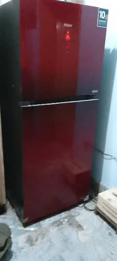 Haier freezer 4 month uses just condition 10/9