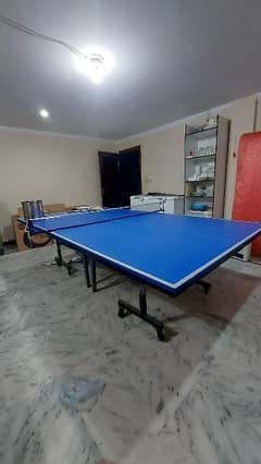 Table for Table Tennis