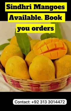 sindhri mangoes A class quality.
