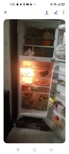 Haier refrigerator no frost