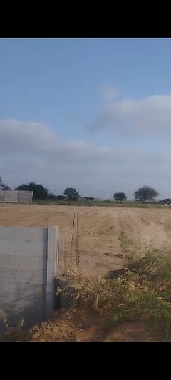 12 acres survey land for sale Deh sanhro road front zameen
