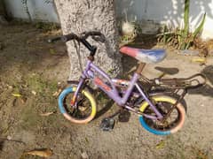 Best cycle for sale