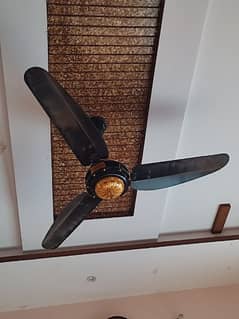 Two ceiling fan for sale