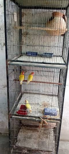 Cage For sale