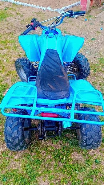 ATV Quad Bike 250cc 5