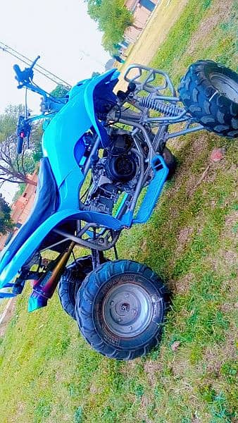 ATV Quad Bike 250cc 7