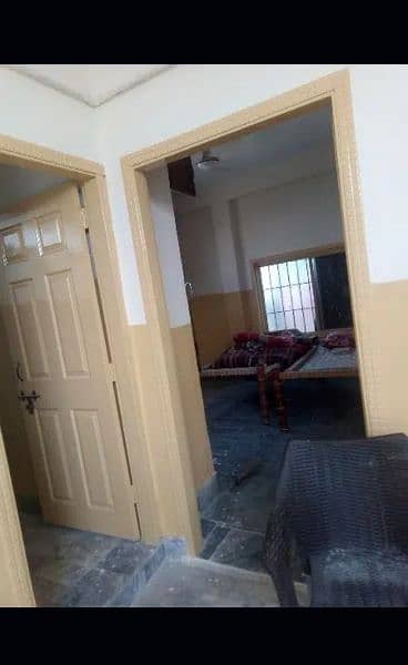 painter available (paint & polish work) 6