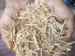 wheat straw available (white tori )