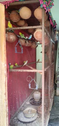 2 bird cages for sale in islamabad