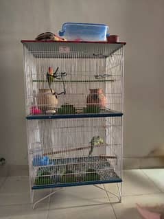 birds/hen cage for sale 2X2