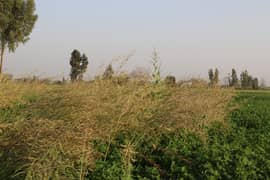 Ideal 25 Acre Fully Agriculture Land For Sale